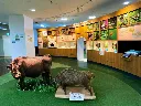 阿蘇火山博物館.webp