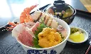 天草，參觀海膽養殖場.webp